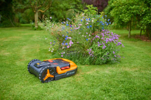 Andrew Johnson's LazyLawn mower